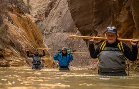 Zion Full Day Private Tour & Hike