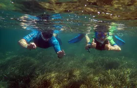 Snorkeling excursion in Isla de Tabarca