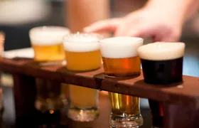 Farms, Flights: Finger Lakes Brewery Tour