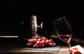 Half-Day Gramma Wine Tasting Tour in Iasi