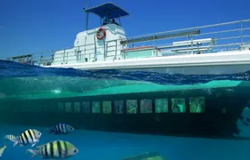 Seaworld Explorer semi-submarine tour