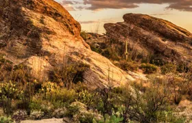 Saguaro National Park Self-Guided Driving Audio Tour