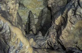 Gustav-Jakob-Höhle