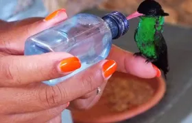 Rocklands Bird Sanctuary & City Highlights plus Shopping from Grand Palladium