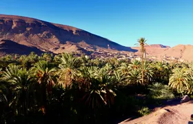 Private Full-Day Tour of Ouarzazate and Oasis Fint