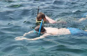 Snorkeling tour in Salalah