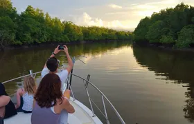 Santubong wildlife guided cruise
