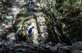 Caledonia Waterfalls full-day tour with hike and lunch