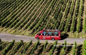 24-hour Stuttgart hop-on hop-off bus winetour