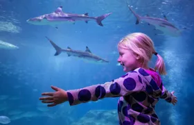 SEA LIFE Oberhausen tickets