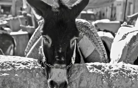 Private 2 Days-Tour from Ouarzazate to Merzouga Desert
