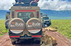 3 Days Serengeti and Ngorongoro Crater Safari