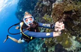 Open Water Course - Become certified diver in 3 days