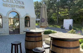 Cricova Cellars - Visit and tasting session