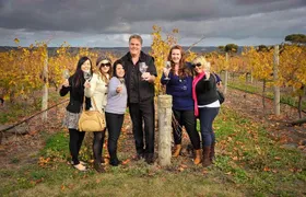 McLaren Vale Winery Small Group Tour with Wine Tasting and Lunch