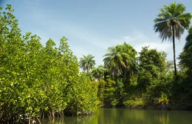 Makasutu Culture Forest full-day tour