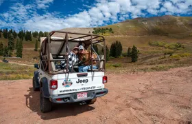 Durango Half Day Jeep Tour - La Plata Canyon