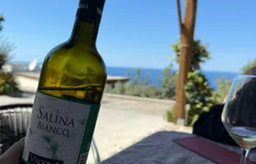 Wine tasting and brunch in a traditional farmhouse in Salina