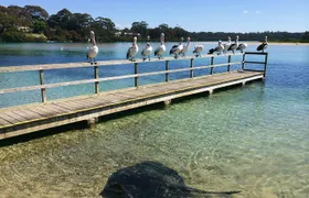The Eurobodalla Experience (Full day private tour including lunch)