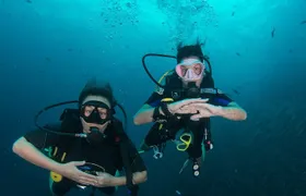 La Bombona Diving Koh Tao Open Water Course