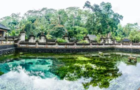 Bali traditional Ubud village sightseeing tour