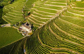 Lake Como & UNESCO Dry-stone Walls Vineyards