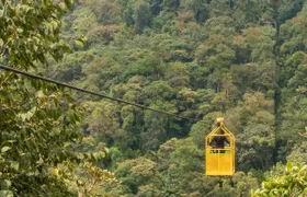 Mindo full-day tour with butterfly garden and cloud forest