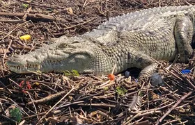 3 Days, Arba Minch, Dorze village and Konso Village