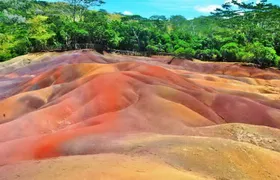 Authentic South Tour