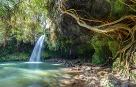 Audio-guided driving tour on Maui's Road to Hana