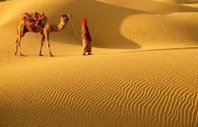 A Camel Safari Through The Thar Desert Sand Dunes Near Bikaner