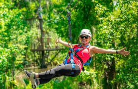 New Orleans Zipline Swamp Tour