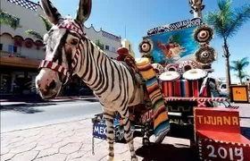 Private Full-Day Guided Tour of Tijuana