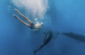 2-hour catamaran cruise to swim with tuna in L'Ametlla de Mar