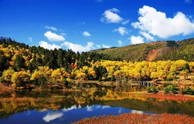 1 Day Shangri-la City Tour with Pudacuo National Park