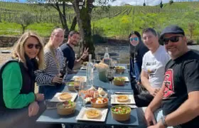 Bordeaux Full Day Wine Tour - 3 Wineries & Gourmet Picnic Lunch