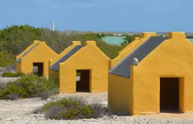 Discover Bonaire on a guided island tour