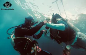 Full day diving with private guide, lunch drinks transportation