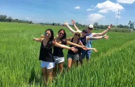 Da Nang & Hoi An: Food, Sightseeing, Culture & Hidden Gems