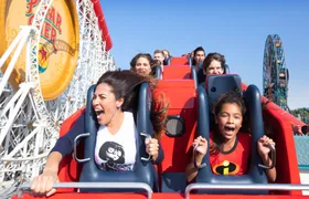 Disneyland® Resort 1 Park per day tickets