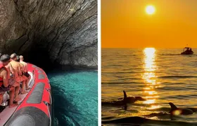 Alcudia: 3-hour Speedboat Adventure with Snorkel