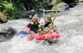 Full-Day Private White Water Rafting Ayung River and Ubud City Tour