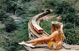 From Ella :- All-Inclusive Ella 5 Icons Day Tour...