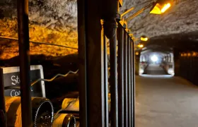 Rhone Valley Discovery of Chateauneuf Du Pape and Avignon
