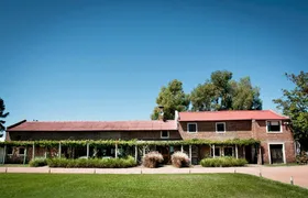 Guided Tour with Wine Tasting Experience at Bouza Winery