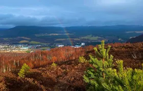 Private Cairngorm National Park tour