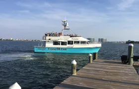 Alabama Gulf Coast Dolphin Cruise