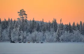 Sunrise Zen Husky Tour (10:00 to 13:00 - sitting on the sled)