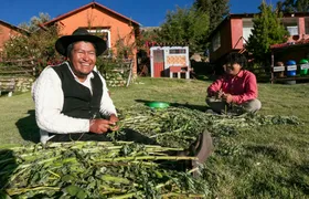 Three-day Luquina family homestay with Lake Titicaca island tour