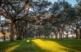 Historical Savannah Self-Guided Walking Tour Bundle